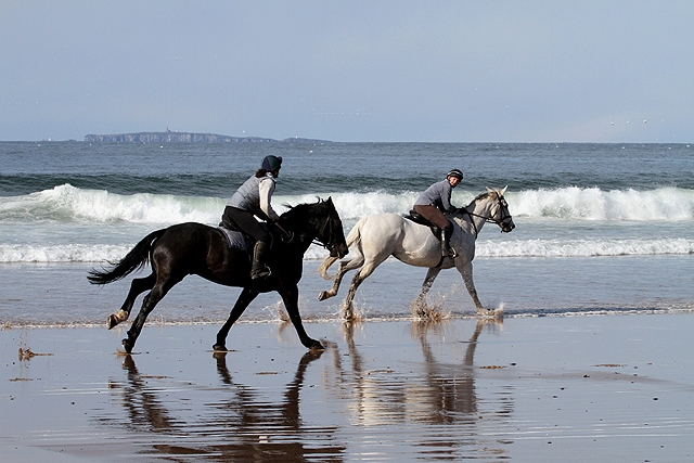  Reiten am Strand